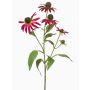 Artificial coneflower branch MILROV, fuchsia, 30"/75cm
