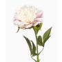 GAVRON artificial peony, white and pink, 55 cm
