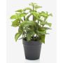 Artificial mint WHOOPI in decorative pot, green, 9"/23cm