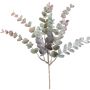 Decorative eucalyptus branch FLOMOR, multicoloured, 20"/50cm