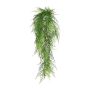 Decorative hanging plant Asparagus plumosus QUALO, spike, 31"/80cm