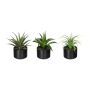 Artificial succulent arrangement FLUKE in ceramic pot, 3 pieces, green, 6"/15cm