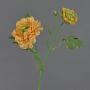 Artificial ranunculus SAGARA, apricot-green, 45cm, Ø5–9cm