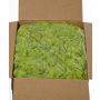 Icelandic natural moss SVEINBJÖRN, light green, 5kg