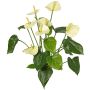 Artificial Anthurium NAKITA on a stem, cream, 50cm