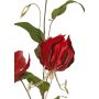 Velvety Gloriosa branch DINFAS, dark red and gold, 80 cm
