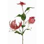 Velvety Gloriosa branch DINFAS, mauve-gold, 31"/80cm