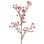 Artificial wild rose branch HIKERNO with rose hips, red, 60cm