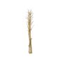 Willow branches HASINA, dried, gold, 5ft-7ft/160-200cm