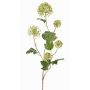 Artificial snowball branch TENSHI, green, 35"/90cm, Ø2"-3.9"/5-10cm