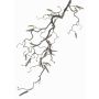 Decorative hazelnut branch XANCHO with catkins, brown, 26"/65cm, Ø0.2"/0.5cm