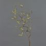 Decorative hazelnut branch XANCHO with catkins, brown, 26"/65cm