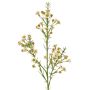 Artificial wax flower branch FRINDALS, cream, 65cm, Ø1.5–2cm
