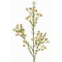 Artificial wax flower branch FRINDALS, cream, 26"/65cm, Ø0.6"-0.8"/1.5-2cm
