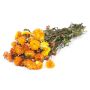 Dried bouquet of Italian strawflowers ALMINKA, orange-yellow, 20"-24"/50-60cm, Ø6"/15cm