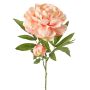 WARDUAN artificial peony, Eco Collection, salmon, 65cm, Ø15cm