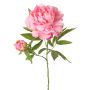 WARDUAN artificial peony, Eco Collection, pink, 65 cm, Ø15 cm