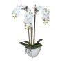Faux Phalaenopsis orchid LARKEN in a ceramic bowl, roots, white, 20"/50cm