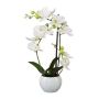 False Phalaenopsis orchid INAKES, ceramic pot, roots, white, 16"/40cm