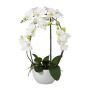 False Phalaenopsis orchid INAKES, ceramic pot, roots, white, 20"/50cm