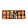 Decorative chicken and quail eggs KIKU, 32 pieces, Easter decoration, brown