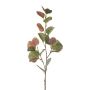 Decorative eucalyptus branch KALHEN, green-purple, 75cm
