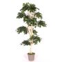 False weeping fig YAIZA, real stem, green, 6ft/185cm - Made in Italy
