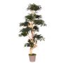 Artificial Japanese maple tree SLAWIK, real stem, green, 6ft/185cm - Made in Italy