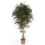 Synthetic foam Ficus Benjamina YANEXY, natural stems, green, 6ft/175cm - Made in Italy