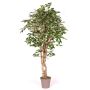 Synthetic foam Ficus Benjamina YANEXY, natural stems, green-white, 6ft/175cm - Made in Italy