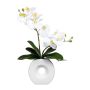 Decorative Phalaenopsis orchid DRELMOR, ceramic vase, roots, white, 14"/35cm