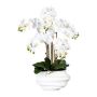 False Phalaenopsis orchid ZALBROK, white decorative vase, roots, white, 30"/75cm