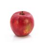 Plastic apple ADAM, red, 3"/7,5cm, Ø 3.1"/8cm
