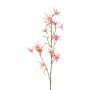 Artificial Tweedia solanoides branch ZORHIL, metallic pink, 75cm