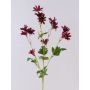 Velvet marguerite FENAS, dark red, 26"/65cm, Ø1.6"-2"/4-5cm
