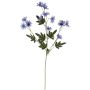 Velvet marguerite FENAS, blue-purple, 26"/65cm
