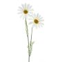 Artificial marguerite SOPY, white, 22"/55cm