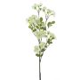 Decorative flower Impatiens WENIA, cream, 28"/70cm