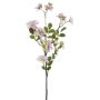 Decorative flower Impatiens WENIA, pink-white, 28"/70cm