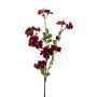 Decorative flower Impatiens WENIA, dark red, 28"/70cm