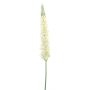 False flower Lupine KALAMATA, cream, 4ft/110cm