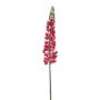 False flower Lupine UKAPI, fuchsia, 3ft/105cm