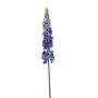 False flower Lupine UKAPI, purple-blue, 3ft/105cm