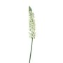 False flower Lupine UKAPI, white, 3ft/105cm