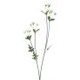 Artificial branch Daisy KASANI, cream, 24"/60cm
