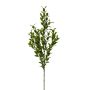 Artificial branch Butcher's broom SNERLO, green, 28"/70cm
