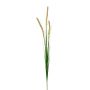 Artificial branch Pennisetum RILVO, panicles, green-pink, 3ft/90cm