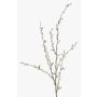 Decorative branch catkin willow WALDEMAR, flowering, brown, 4ft/120cm