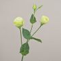 Artificial Lisianthus branch RINARA, cream-green, 26"/65cm