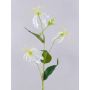 Artificial gloriosa MAFIRNA, white and green, 80 cm